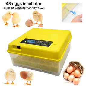 48 Egg Digital Incubator