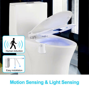 Auto Motion Toilet Night Light