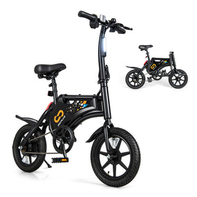 Adult Electric Bike 350W Motor